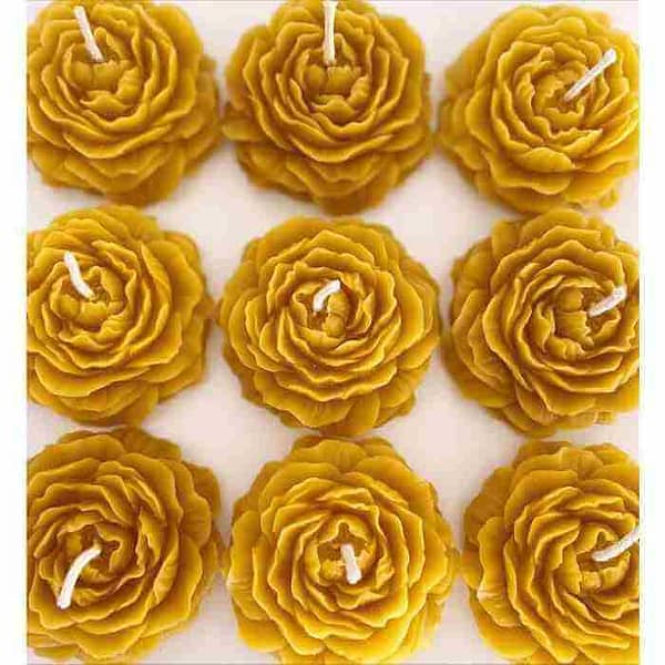 Bee Light Primrose bijenwas kaarsen